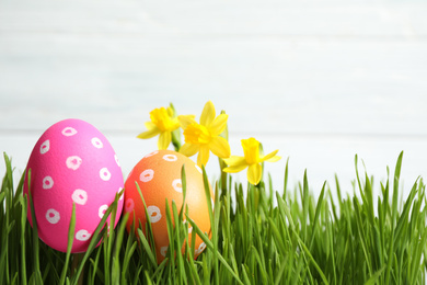 Photo of Colorful Easter eggs and narcissus flowers in green grass against white background, closeup. Space for text
