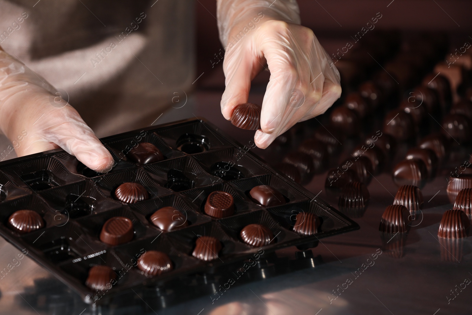 Photo of Woman packing delicious candies at production line, closeup