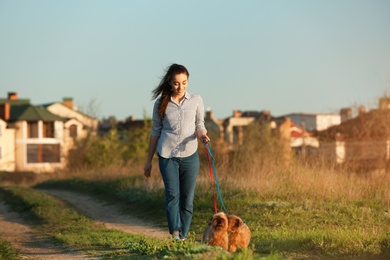 Young woman walking her adorable Brussels Griffon dogs outdoors