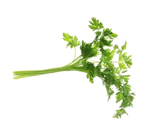 Photo of Bunch of fresh green parsley on white background