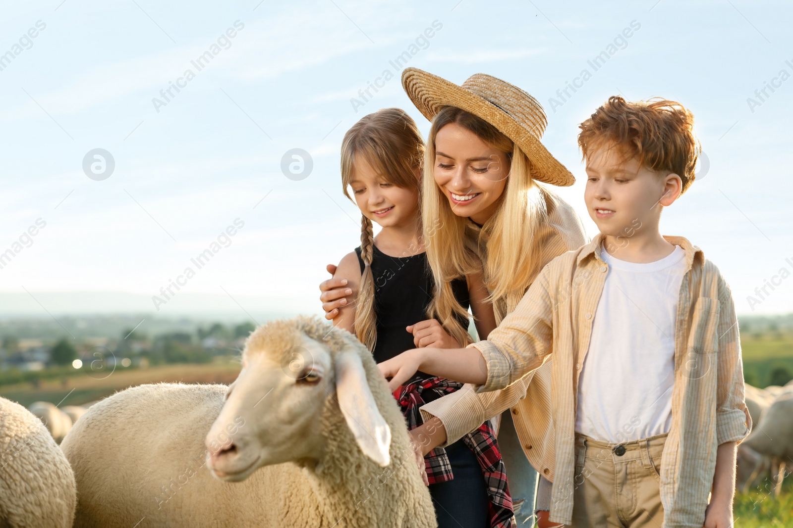 Photo of Mother and children stroking sheep on pasture. Farm animals