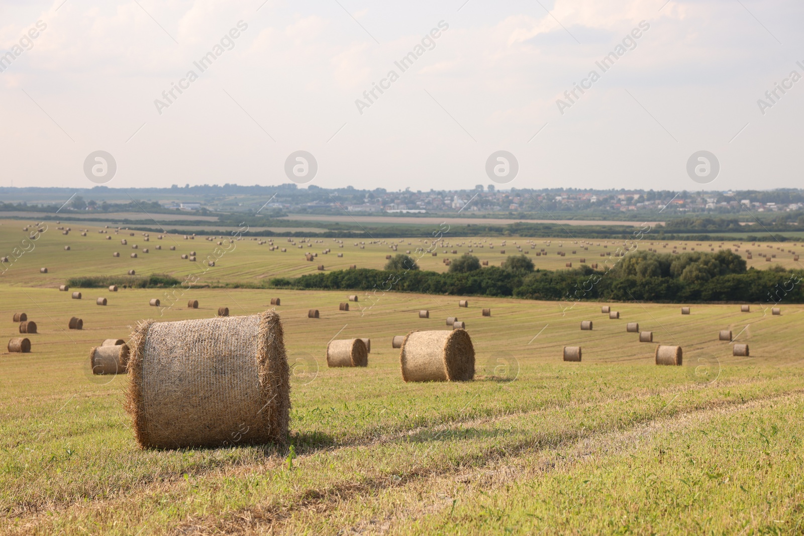 Photo of Beautiful view of agricultural field with hay bales