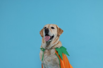 Cute Labrador Retriever dog in Halloween costume on light blue background