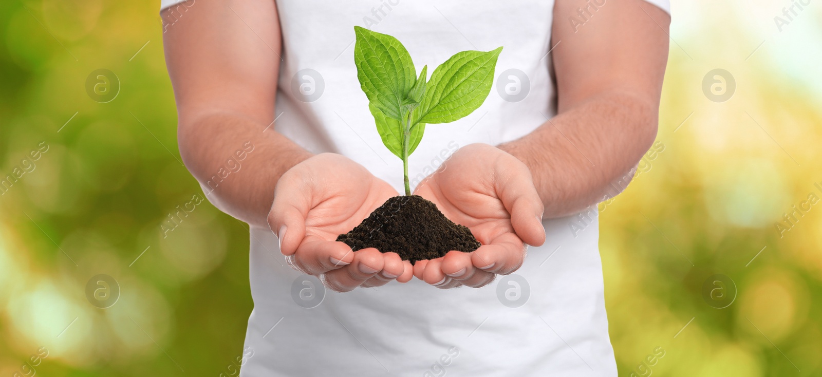 Image of Closeup view of man holding small plant in soil on blurred background, banner design. Ecology protection