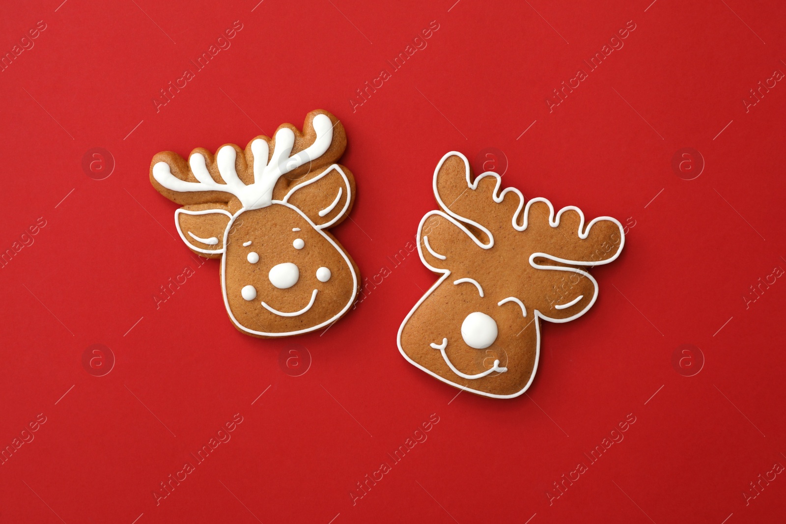 Photo of Christmas deer shaped gingerbread cookies on red background, flat lay