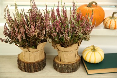 Beautiful heather flowers in pots, book and pumpkins indoors