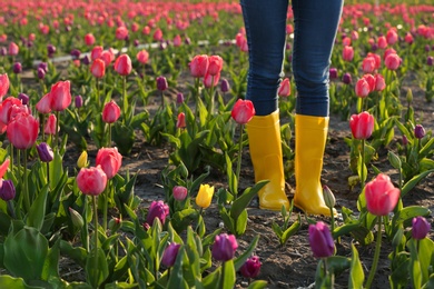 Woman in rubber boots walking across field with beautiful tulips after rain, closeup