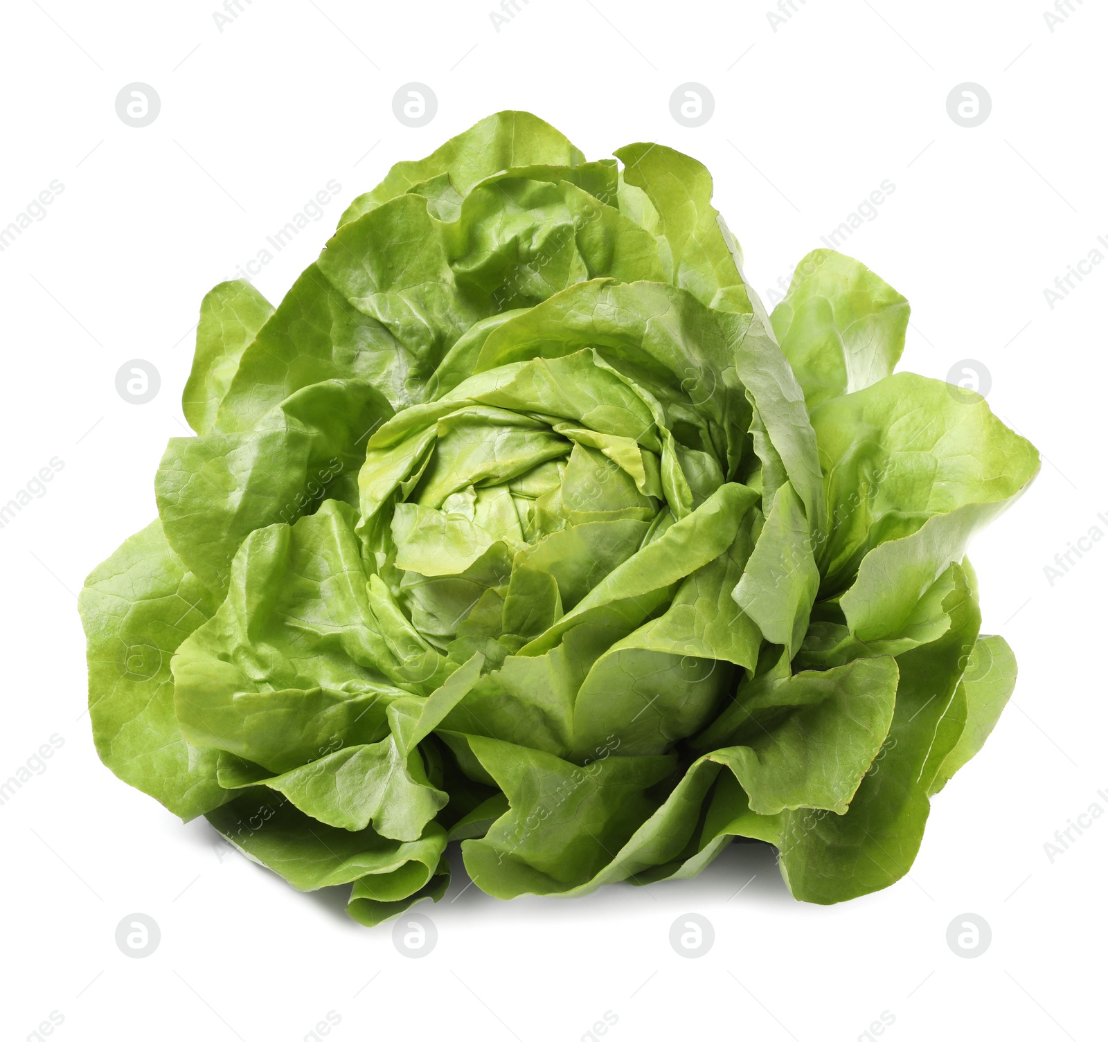 Photo of Fresh green butter lettuce head isolated on white