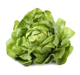 Fresh green butter lettuce head isolated on white