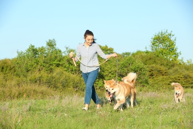 Photo of Young woman walking her adorable Akita Inu dogs in park