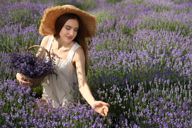 Photo of Young woman with wicker basket full of lavender flowers in field