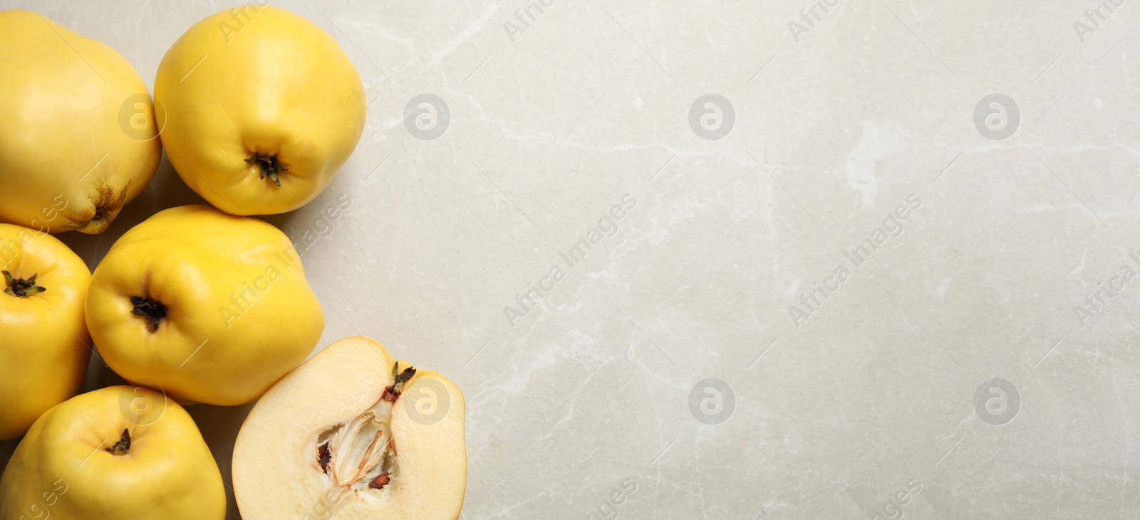 Image of Fresh ripe organic quinces on light table, flat lay with space for text. Banner design