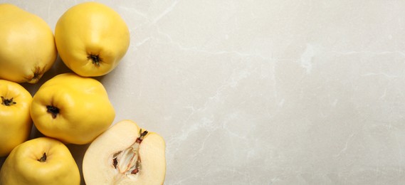 Image of Fresh ripe organic quinces on light table, flat lay with space for text. Banner design