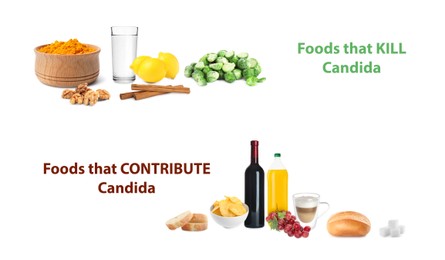 List of foods that kill and contribute Candida on white background