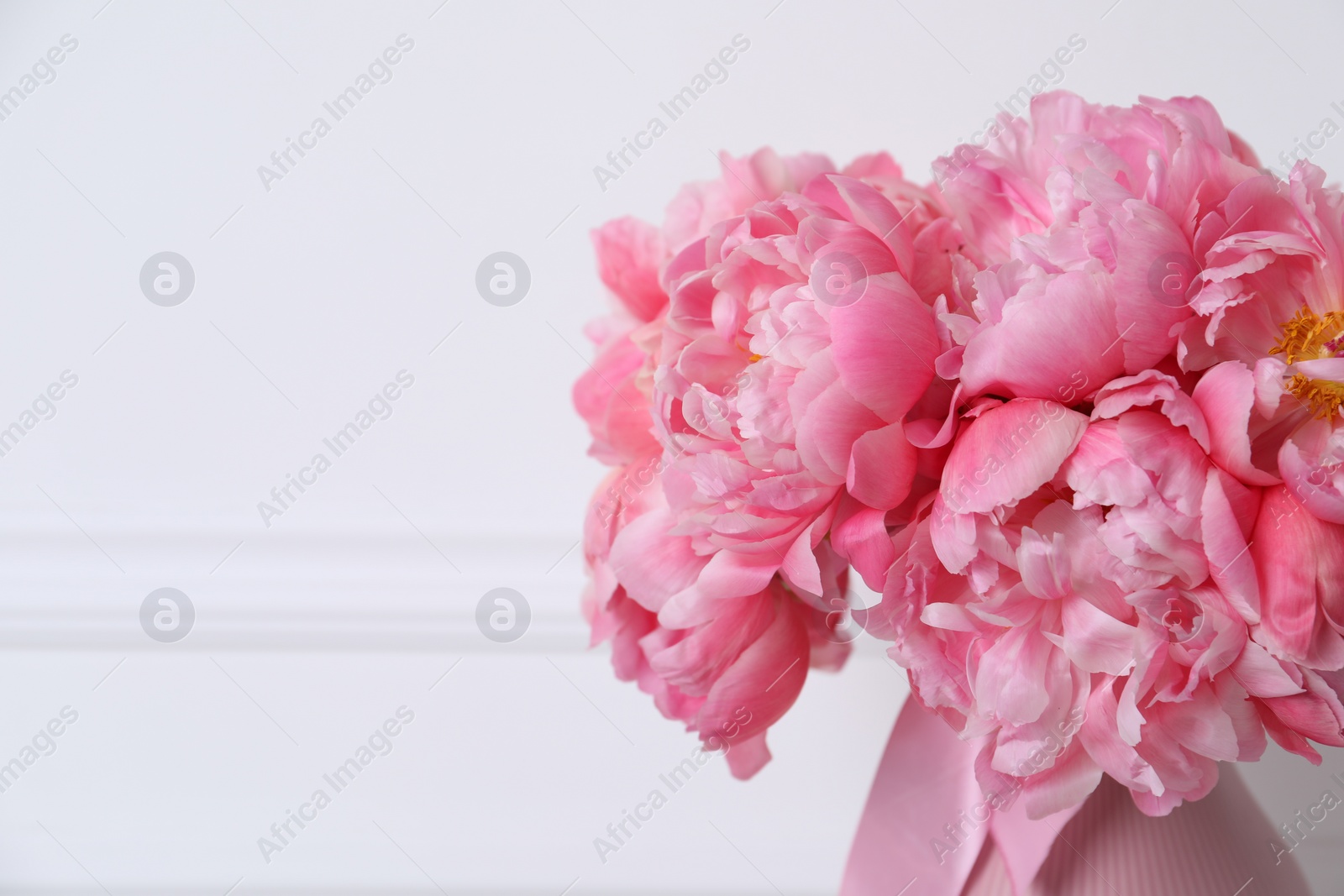 Photo of Beautiful bouquet of pink peonies in vase near white wall, closeup. Space for text