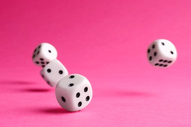 Photo of Many white game dices falling on pink background