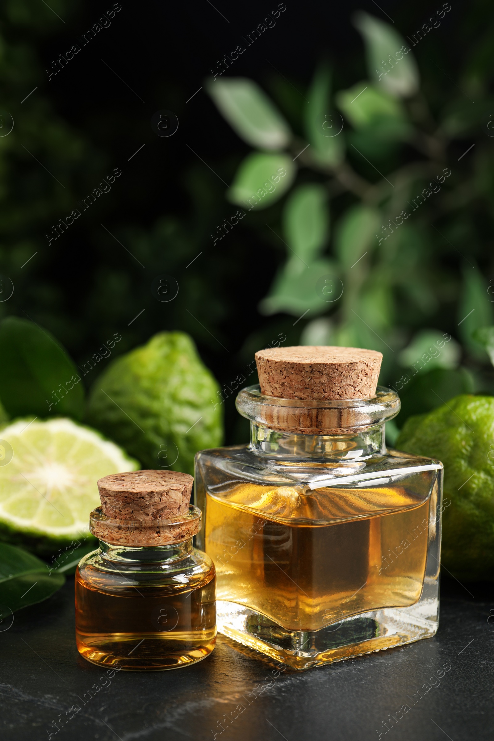 Photo of Glass bottles of bergamot essential oil and fresh fruits on black stone table