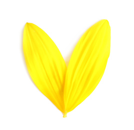 Photo of Fresh yellow sunflower petals isolated on white, top view