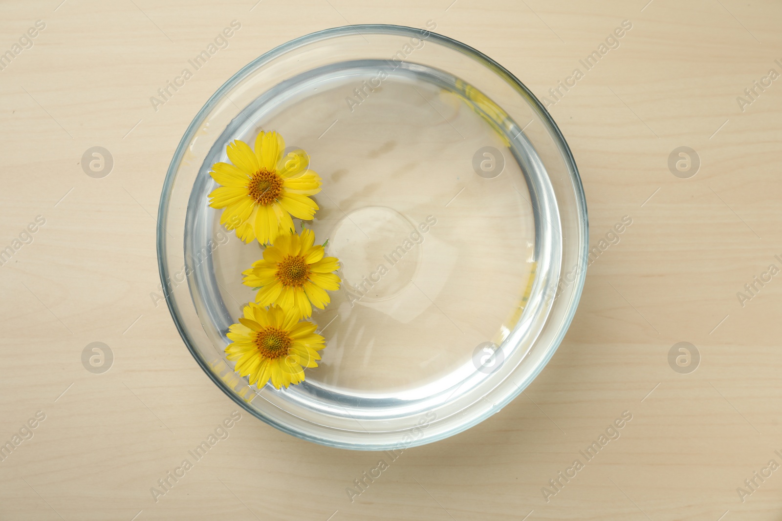 Photo of Glass bowl with water and yellow flowers on wooden table, top view