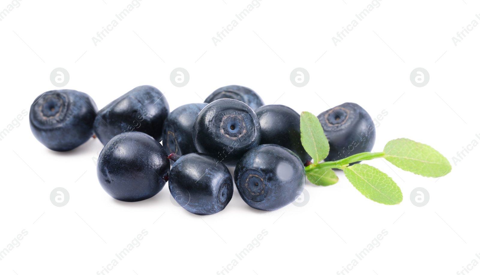 Photo of Tasty ripe bilberries and green leaves isolated on white