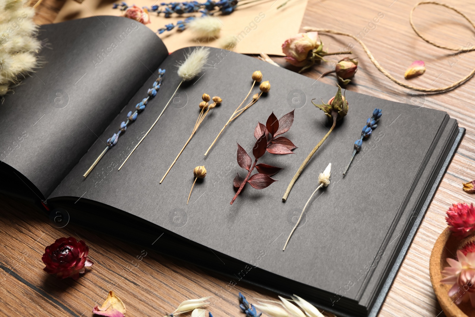 Photo of Herbarium album with beautiful dry flowers on wooden table