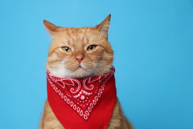 Photo of Cute ginger cat with bandana on light blue background. Adorable pet