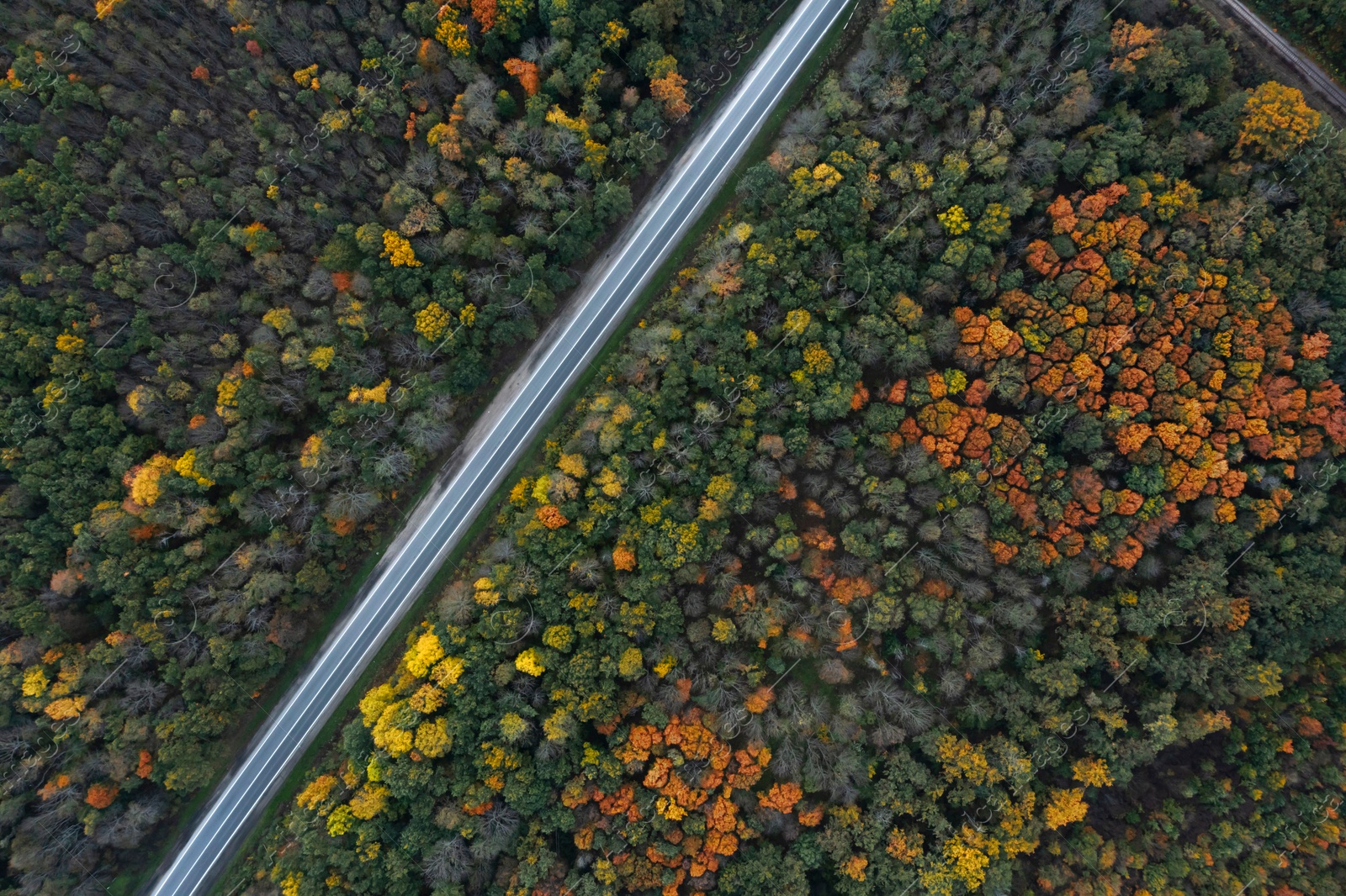 Image of Aerial view of road going through beautiful autumn forest