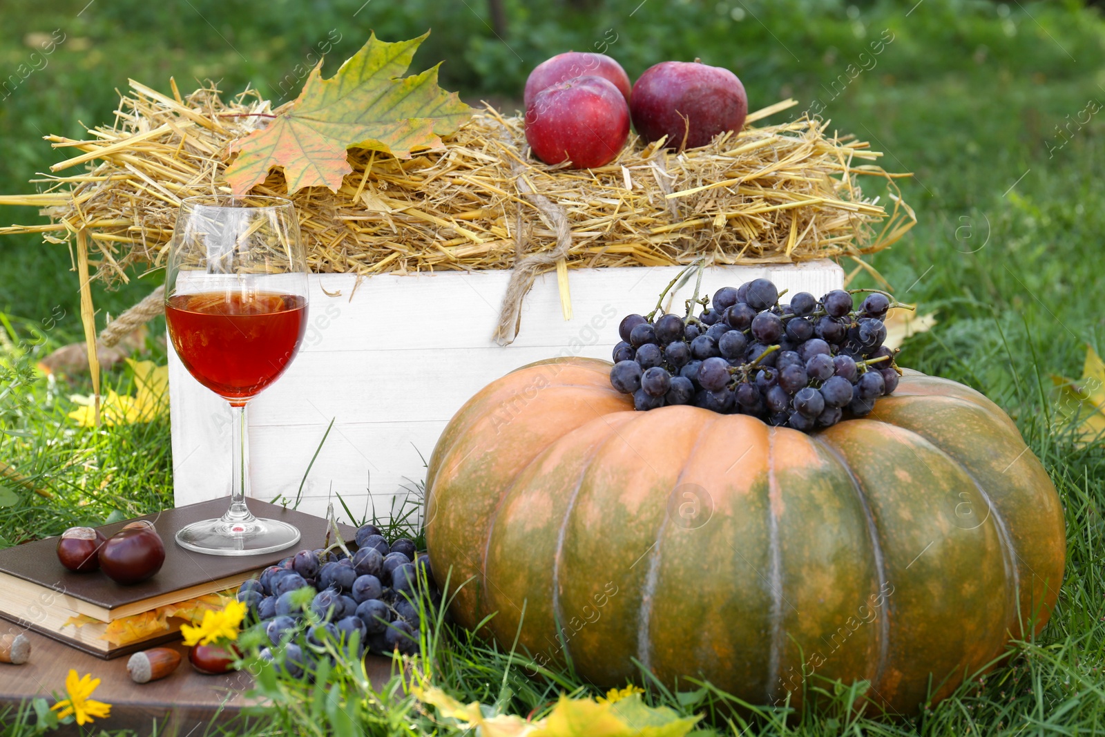 Photo of Glass of wine, book, pumpkin and grapes on green grass outdoors. Autumn picnic