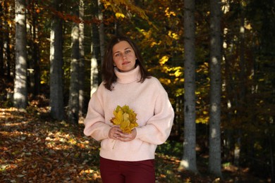 Portrait of beautiful young woman with autumn leaves in forest
