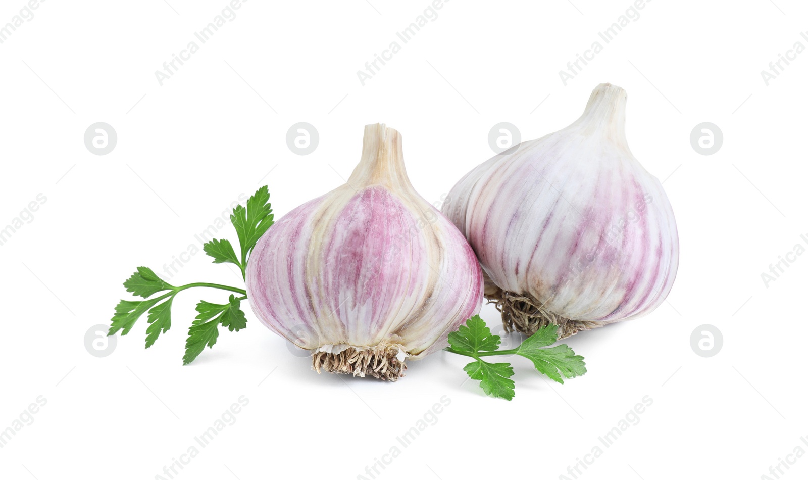Photo of Fresh garlic heads and parsley isolated on white