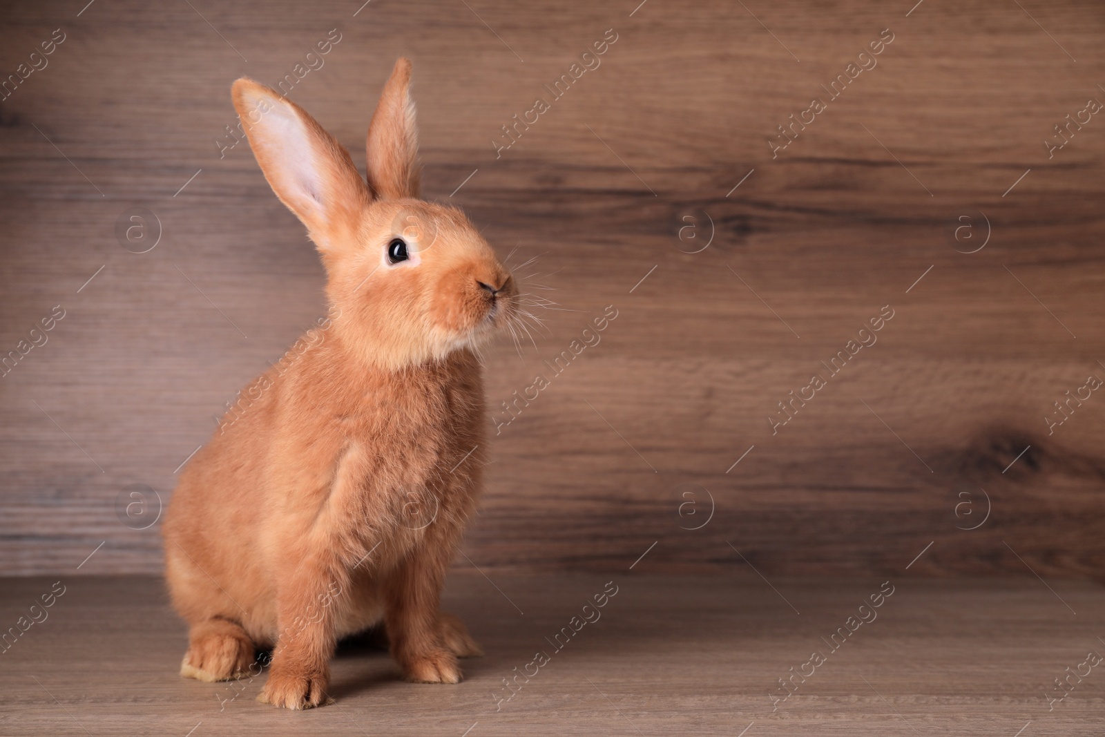 Photo of Cute bunny on table against wooden background, space for text. Easter symbol