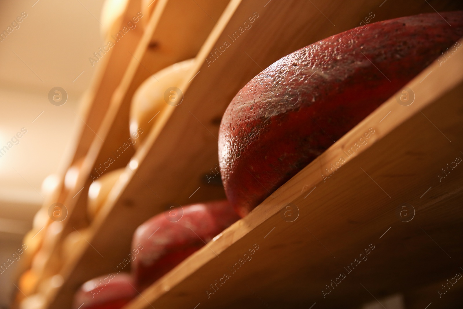 Photo of Fresh cheese heads on rack in factory warehouse, closeup