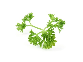 Photo of Fresh green organic parsley on white background