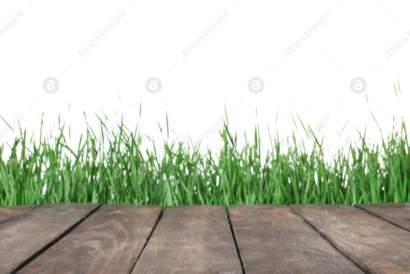 Photo of Wooden deck and green grass isolated on white