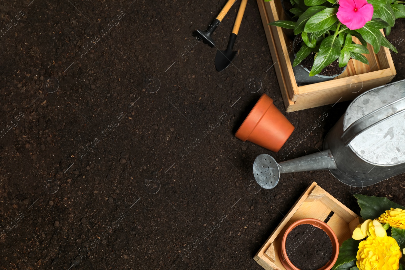 Photo of Flat lay composition with gardening tools and flowers on soil, space for text