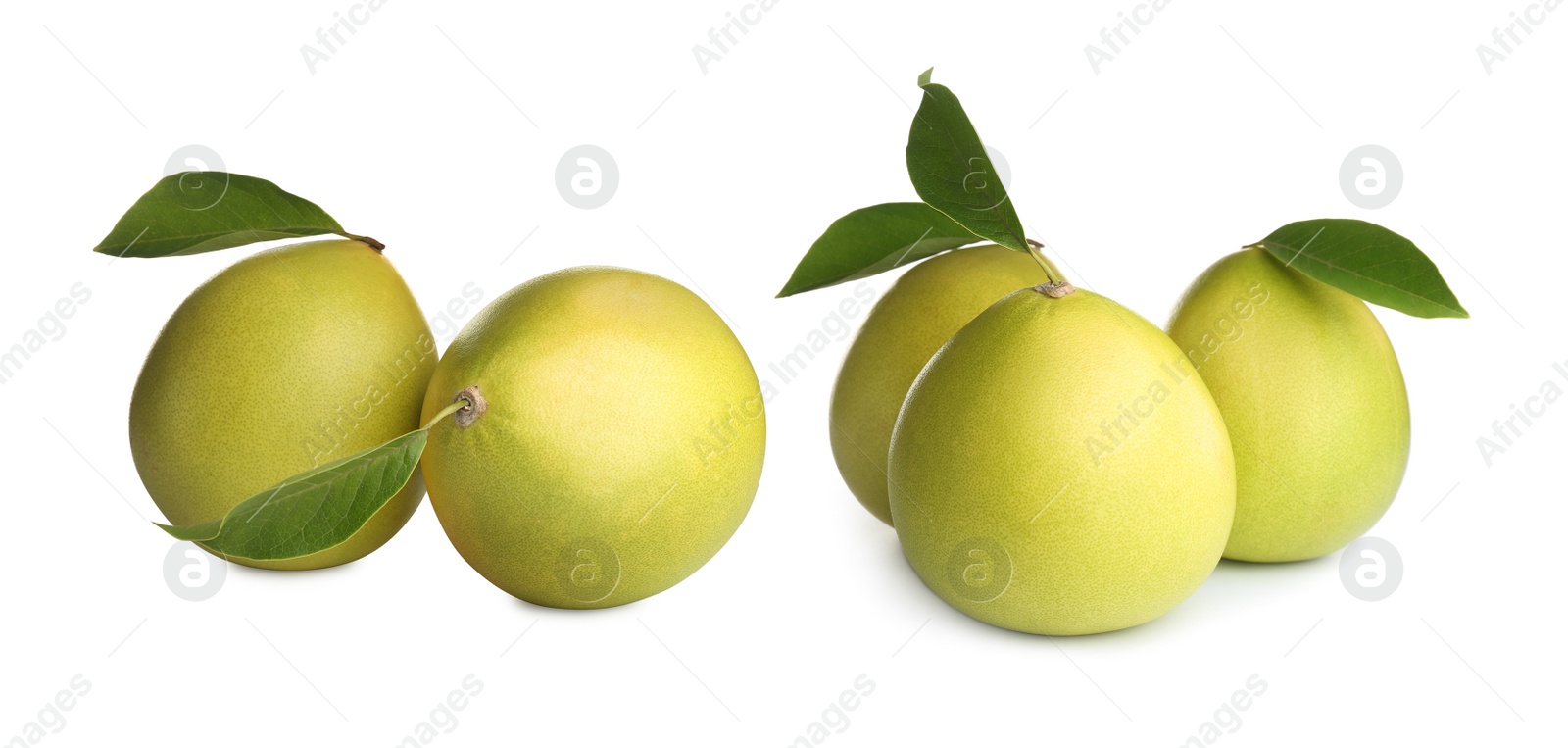 Image of Set of fresh exotic pomelo fruits on white background. Banner design