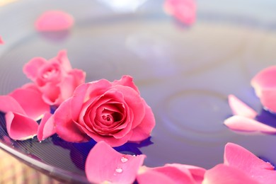 Pink roses and petals in bowl with water, closeup