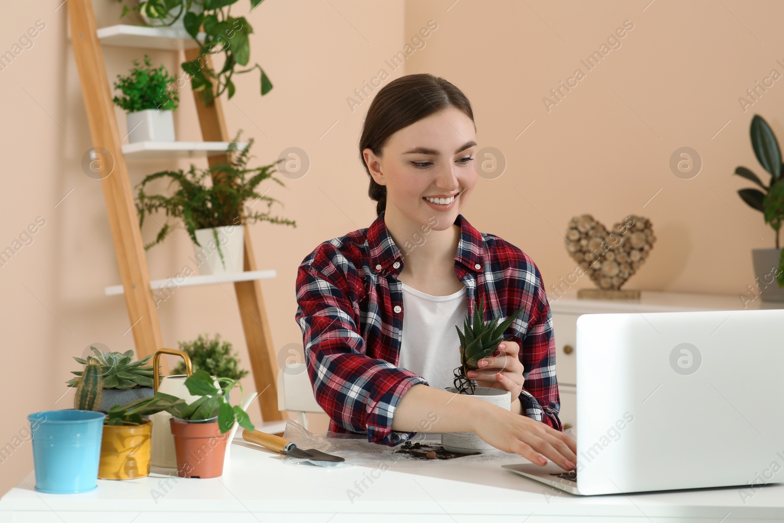 Photo of Woman taking care of plant following online gardening course at home. Time for hobby