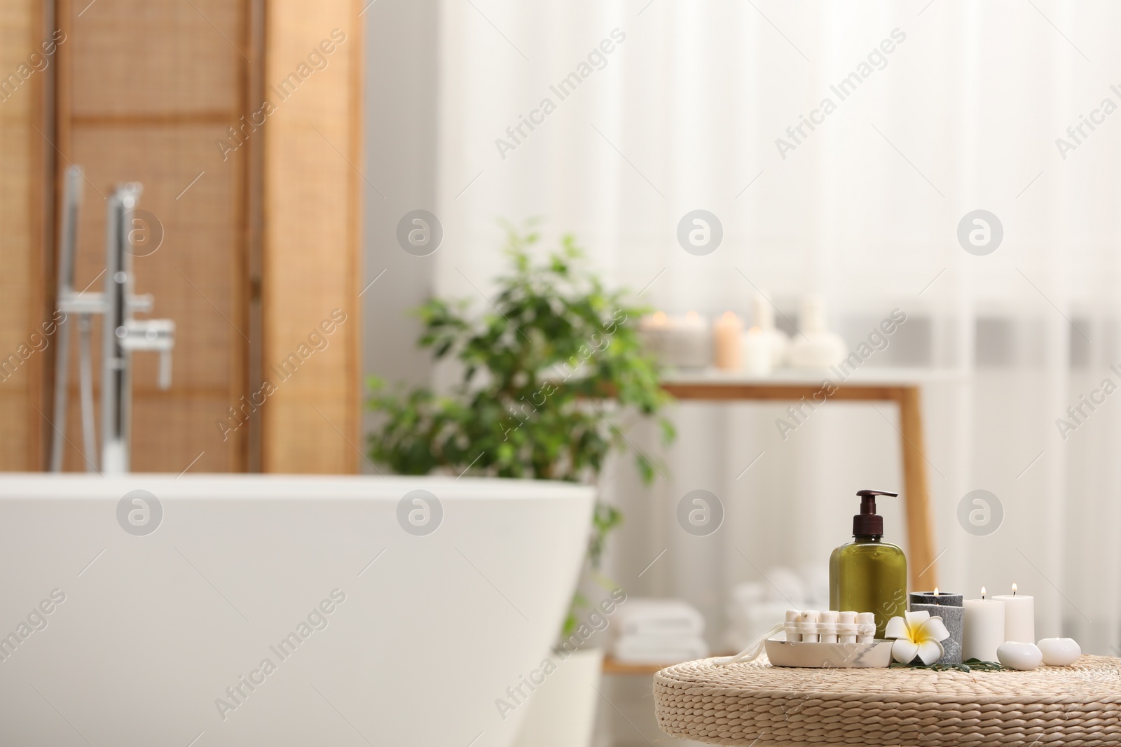 Photo of Spa products, burning candles and plumeria flower on wicker table in bathroom. Space for text