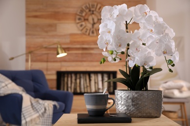 Photo of Beautiful white orchids and cup of tea on wooden table in living room, space for text. Interior design