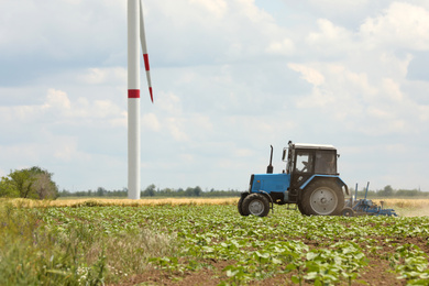 Photo of Modern tractor cultivating field of ripening sunflowers. Agricultural industry