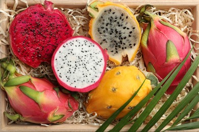 Photo of Delicious cut and whole dragon fruits in crate, top view