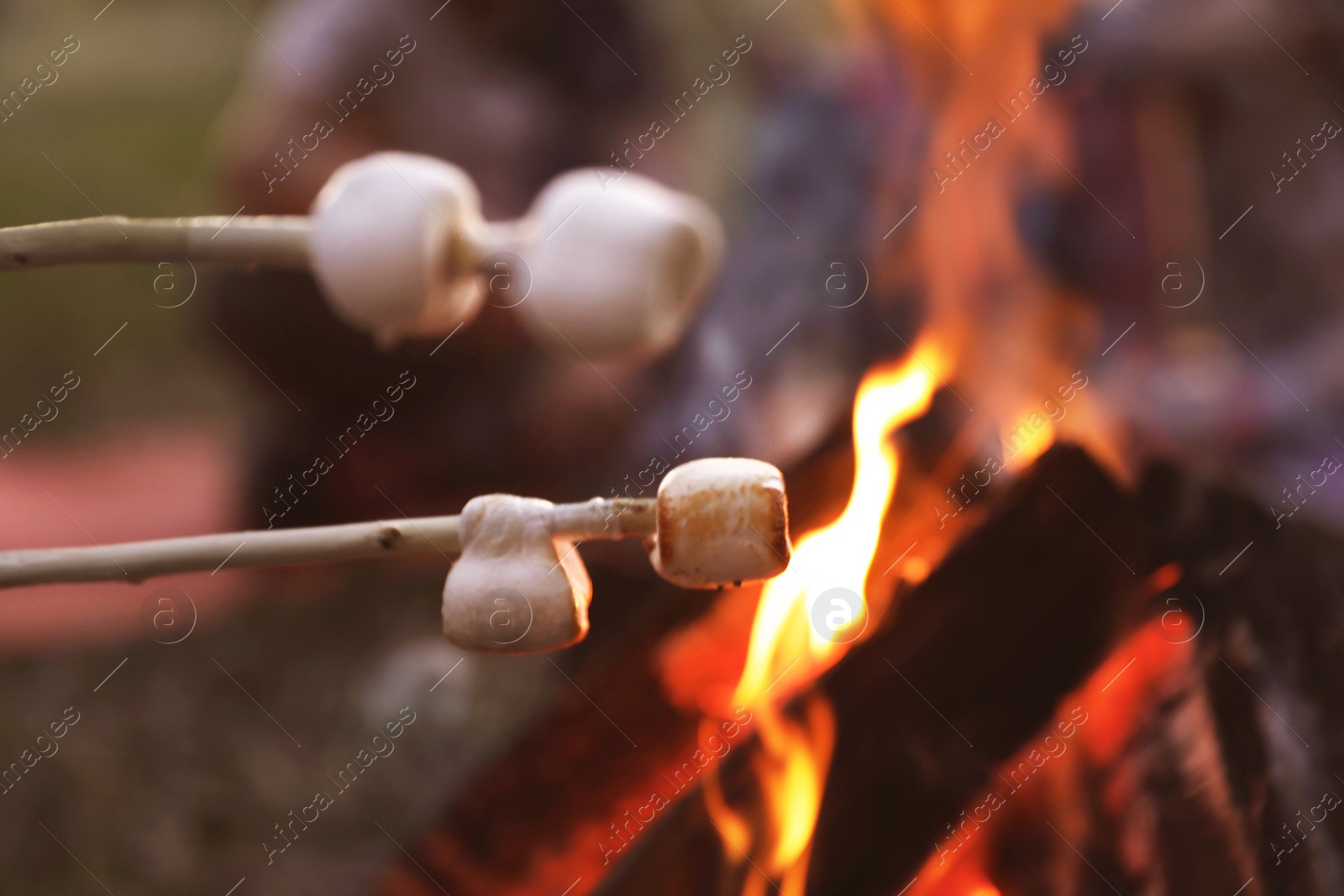 Photo of Fried marshmallows on stick against blurred background, closeup. Summer camp
