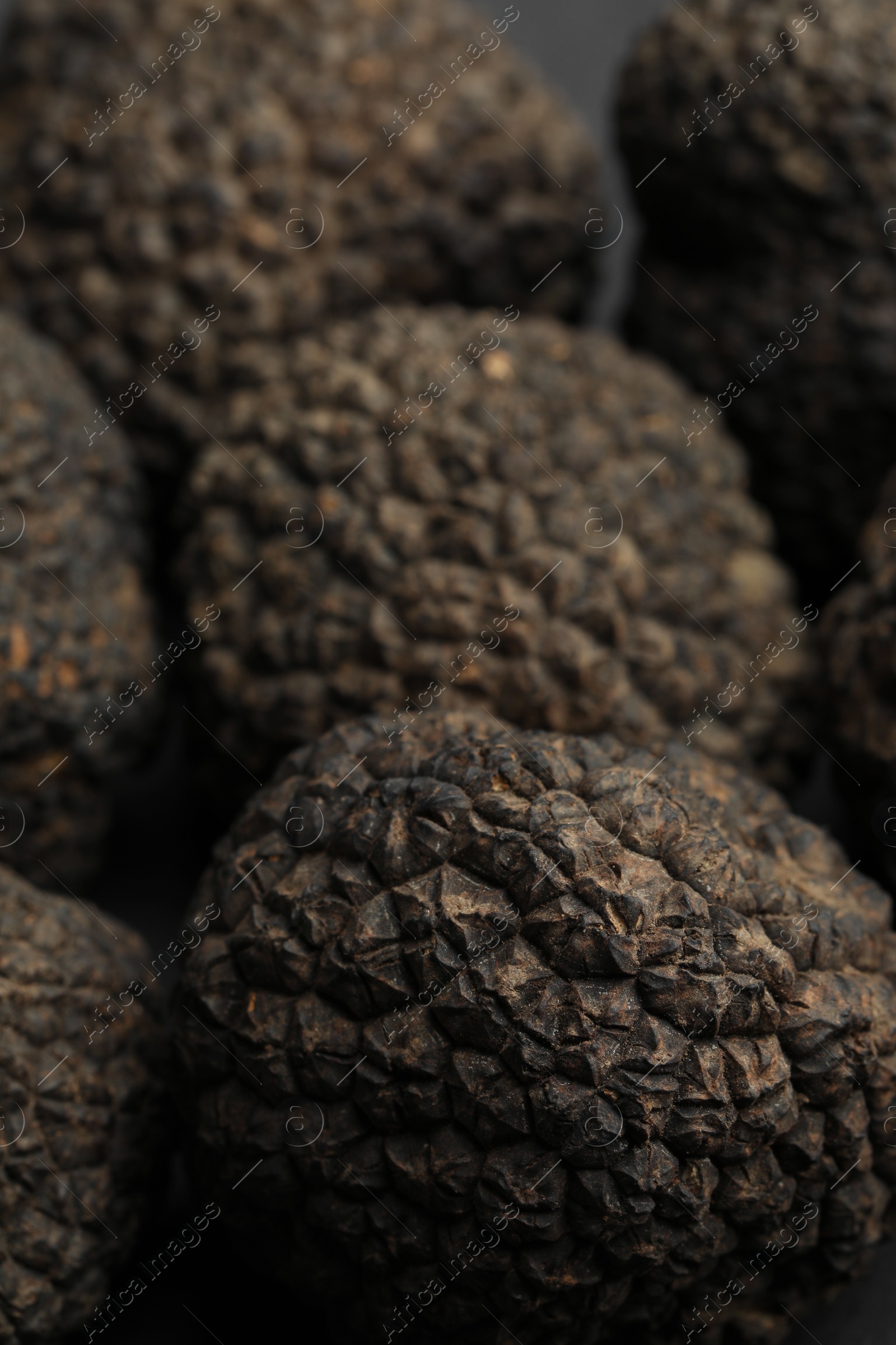 Photo of Closeup view of fresh whole black truffles