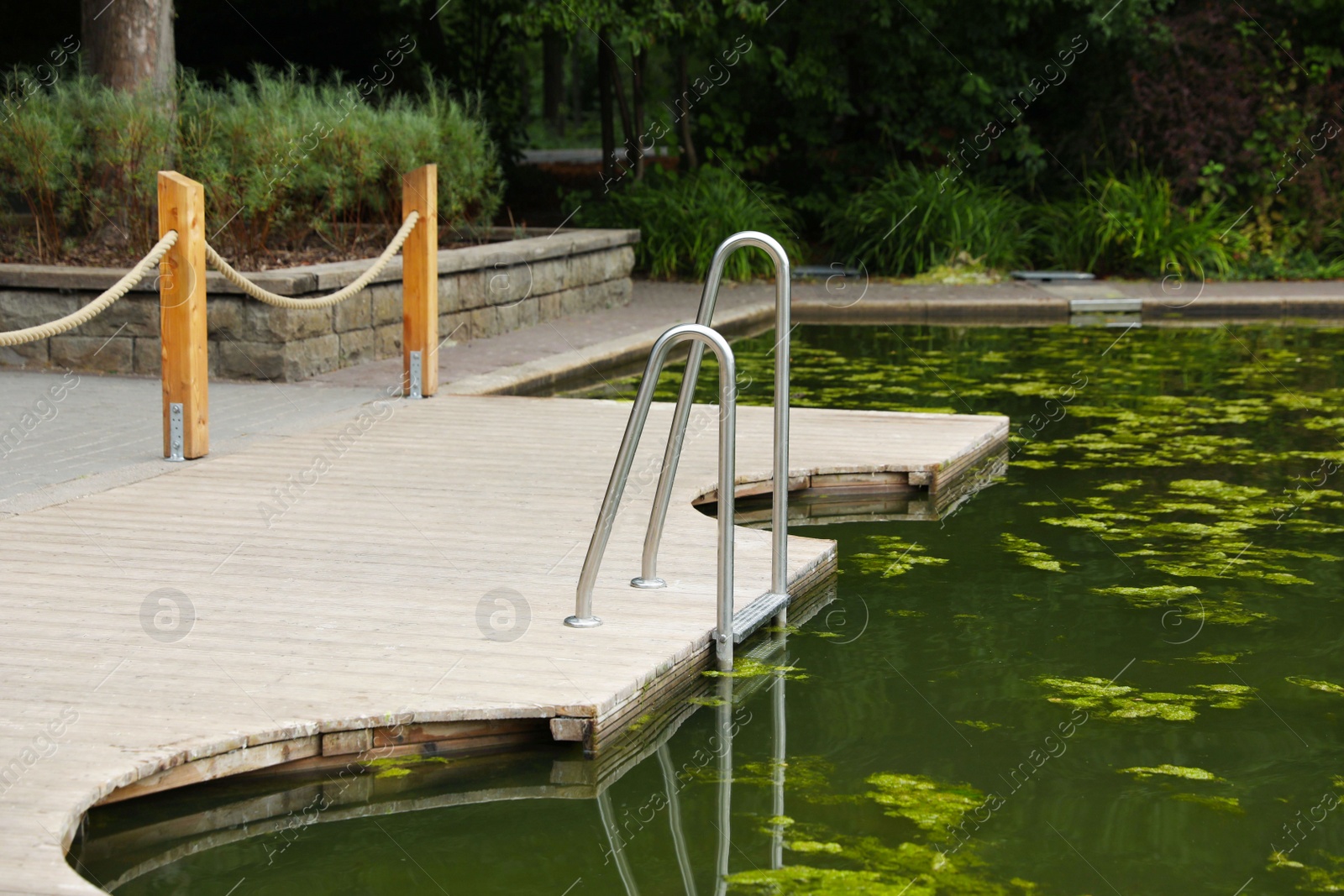 Photo of Wooden pier and pond with ladder in park
