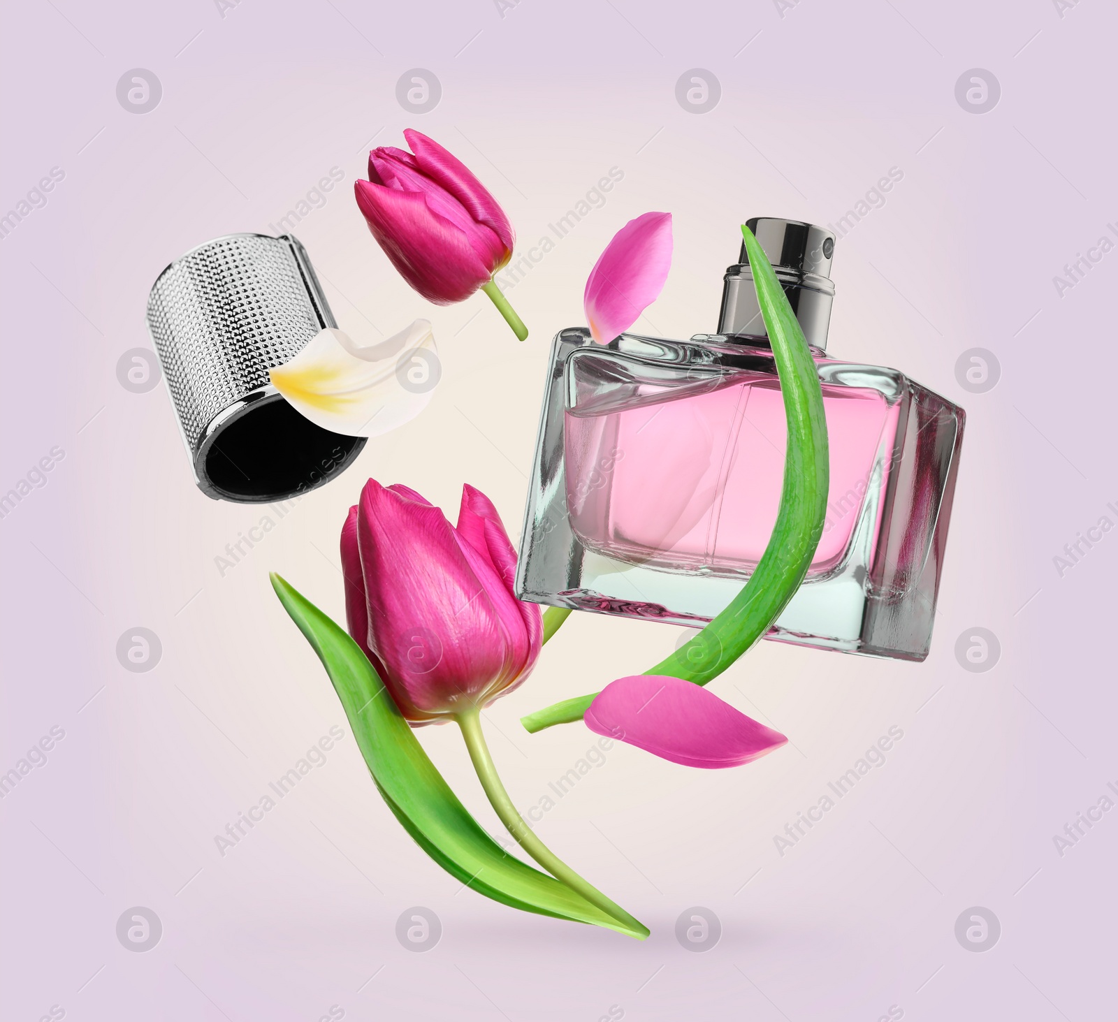 Image of Bottle of perfume and tulips in air on pink background