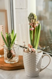 Photo of Beautiful bulbous plants on windowsill indoors. Spring time