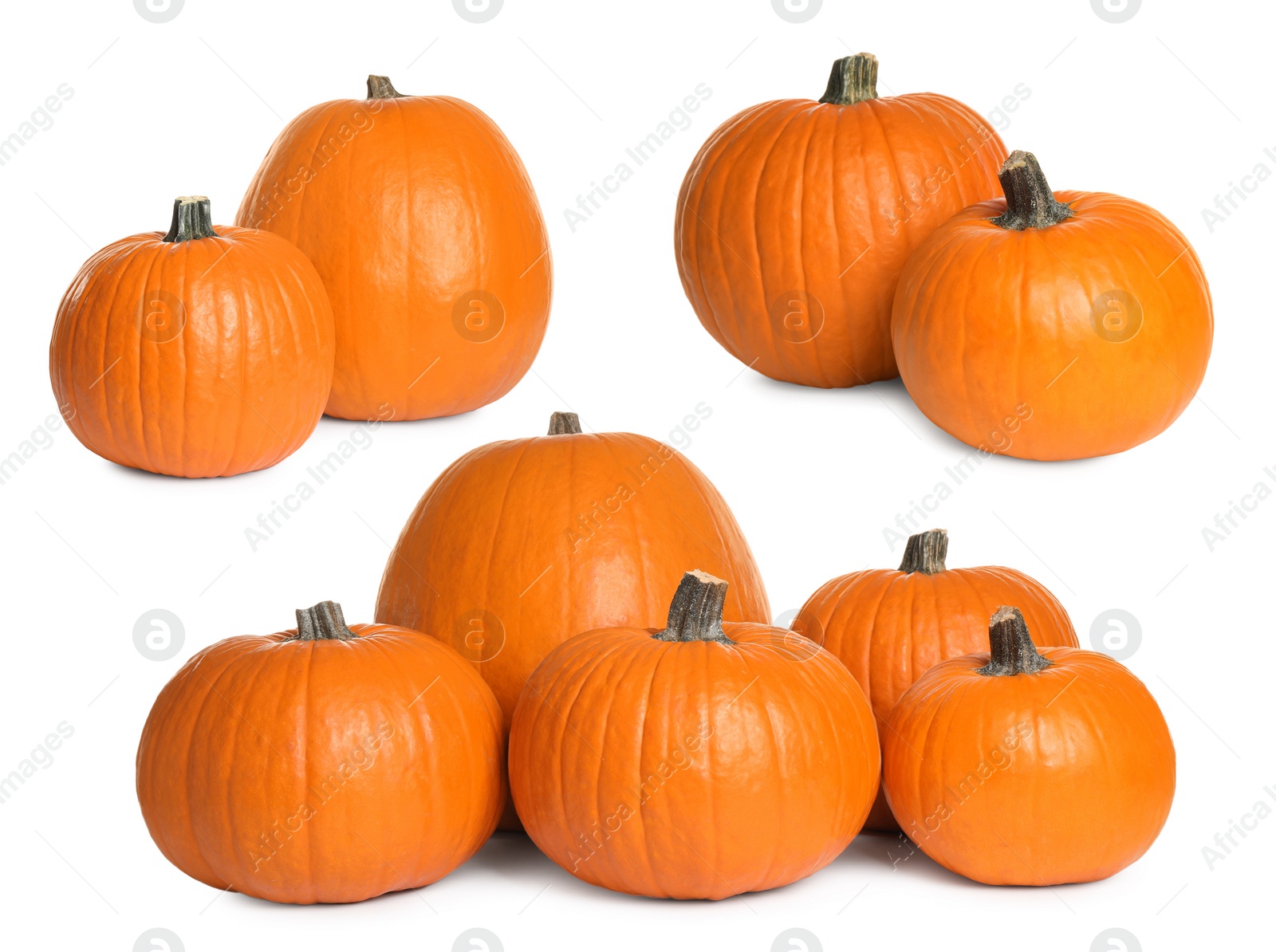 Image of Set of fresh orange pumpkins on white background