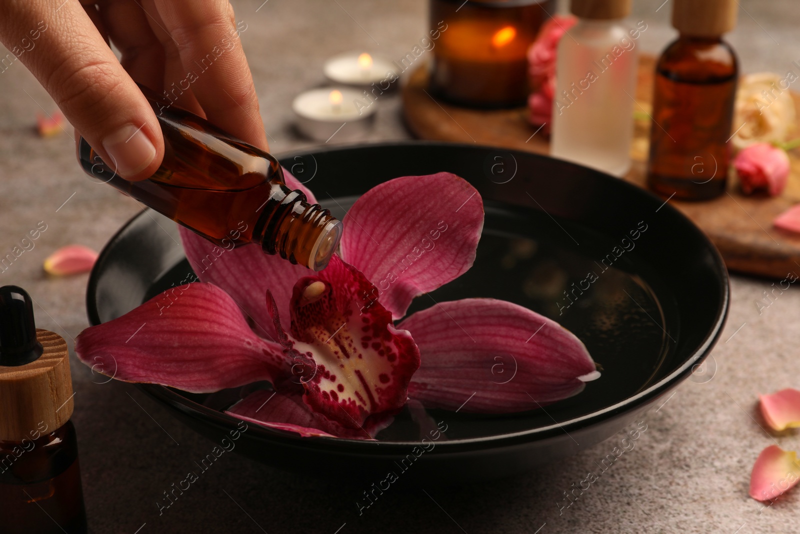 Photo of Woman dripping essential oil into bowl with flower at grey table, closeup. Aromatherapy treatment