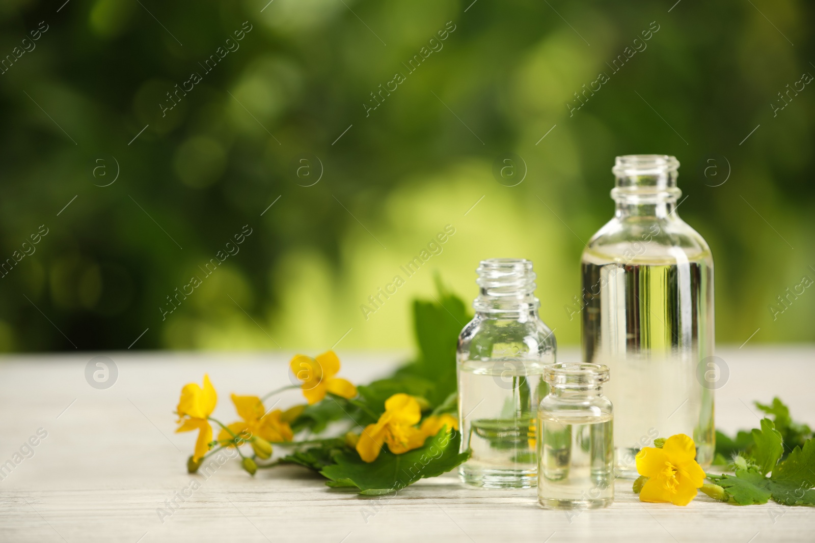 Photo of Bottles of natural celandine oil near flowers on white wooden table outdoors, space for text